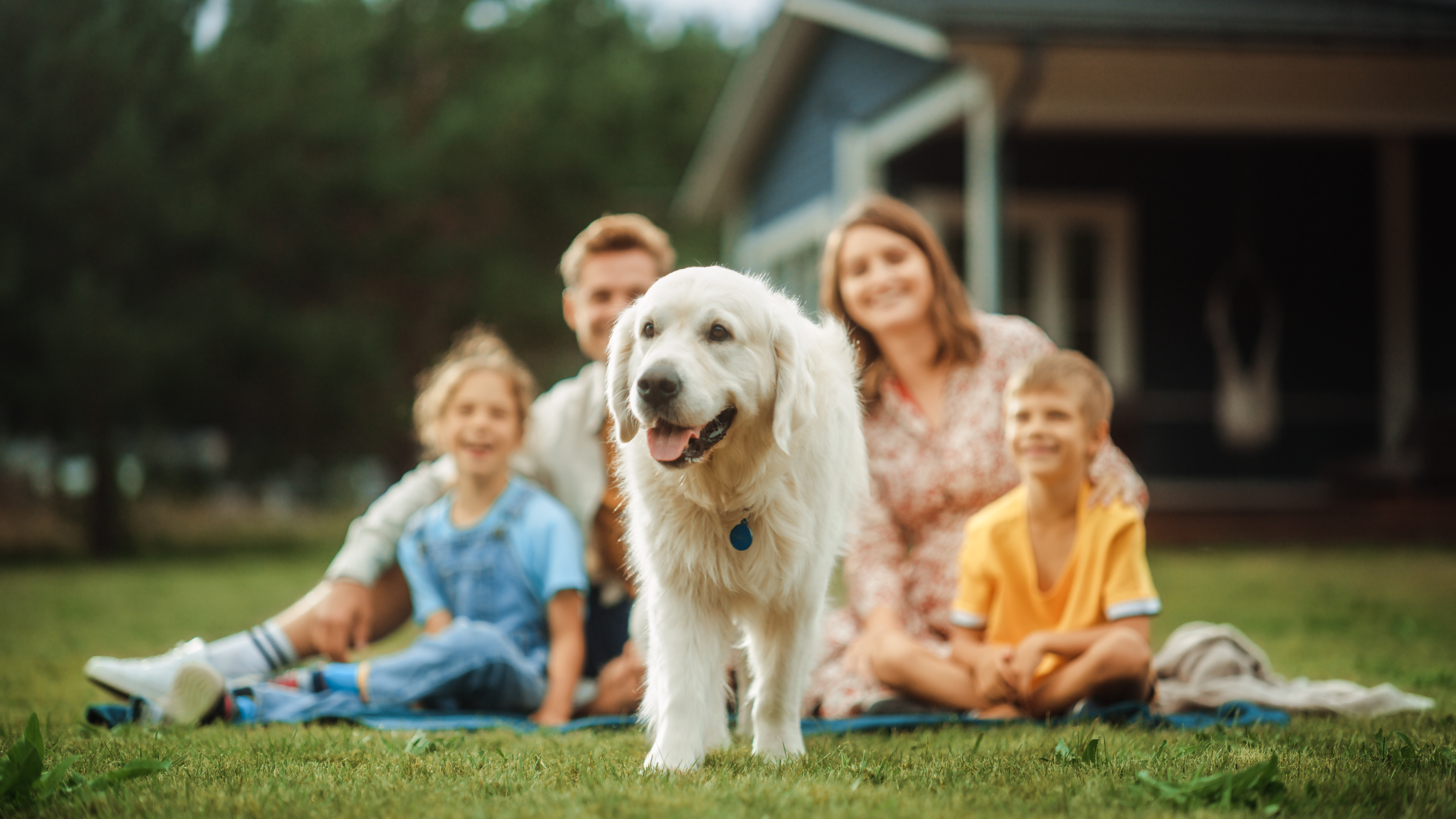 The Smith Manoeuvre in 2026: Why Canadian Homeowners and Their Advisors Need This Debt Conversion Strategy Now post image